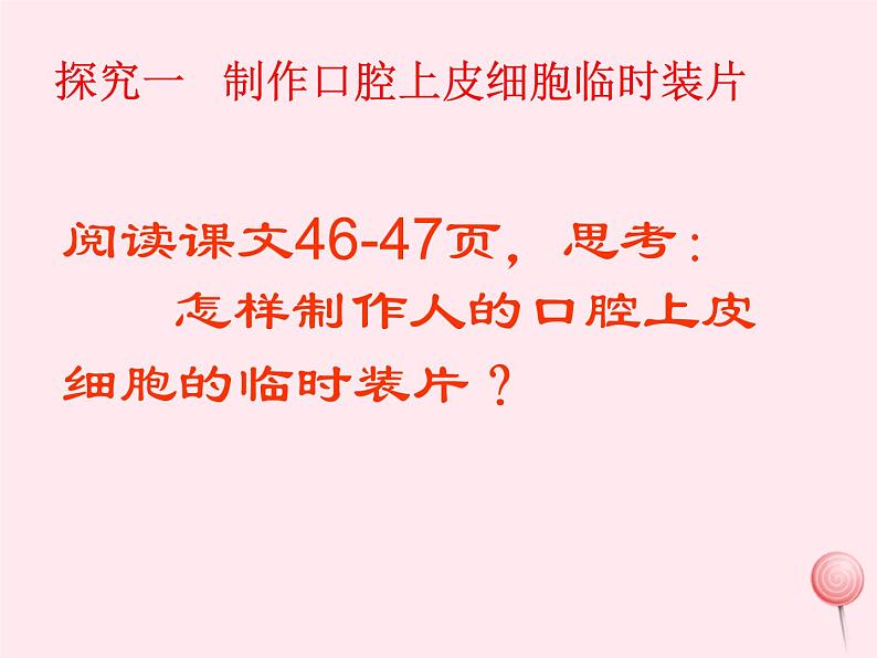 七年级生物上册第二单元第一章第三节动物细胞课件07