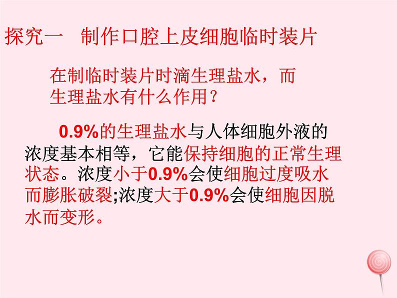 七年级生物上册第二单元第一章第三节动物细胞课件08