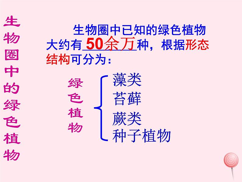 七年级生物上册第三单元第一章第一节藻类、苔藓和蕨类植物课件04