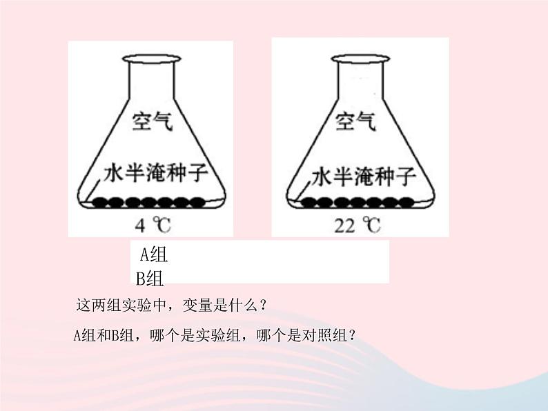 七年级生物上册第三单元第二章第一节种子的萌发课件 含视频06