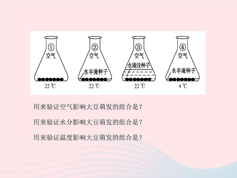 七年级生物上册第三单元第二章第一节种子的萌发课件 含视频08