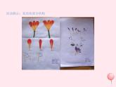 七年级生物上册第三单元第二章第三节开花和结果课件