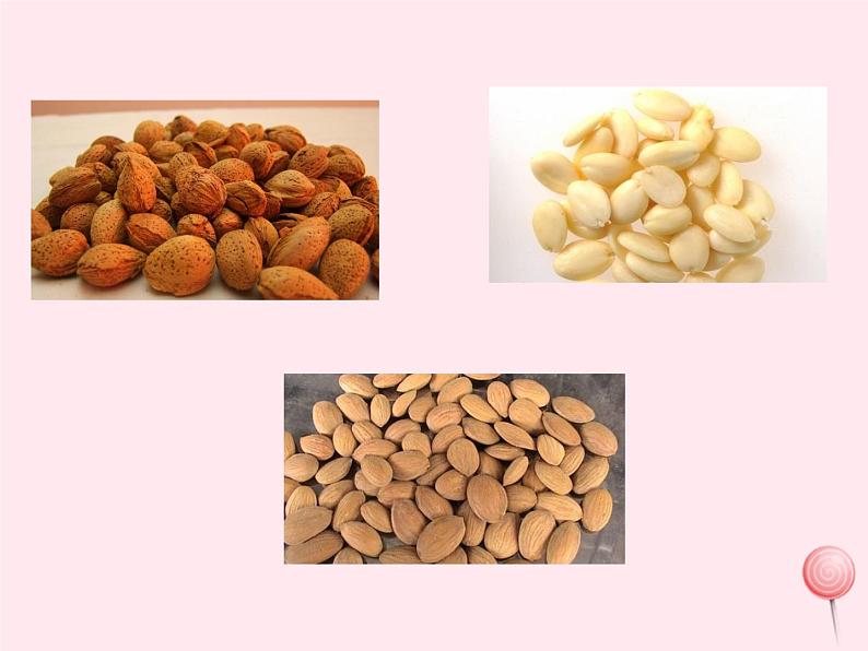 七年级生物上册第三单元第二章第三节开花和结果课件06