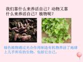 七年级生物上册第三单元第四章绿色植物是生物圈中有机物的制造者课件
