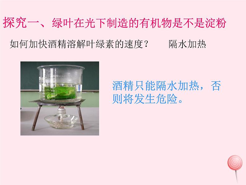 七年级生物上册第三单元第四章绿色植物是生物圈中有机物的制造者课件05