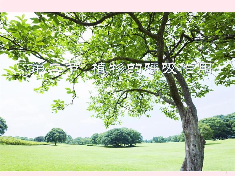 七年级生物上册第三单元第五章第二节绿色植物的呼吸作用课件01