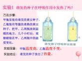 七年级生物上册第三单元第五章第二节绿色植物的呼吸作用课件