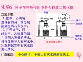 七年级生物上册第三单元第五章第二节绿色植物的呼吸作用课件