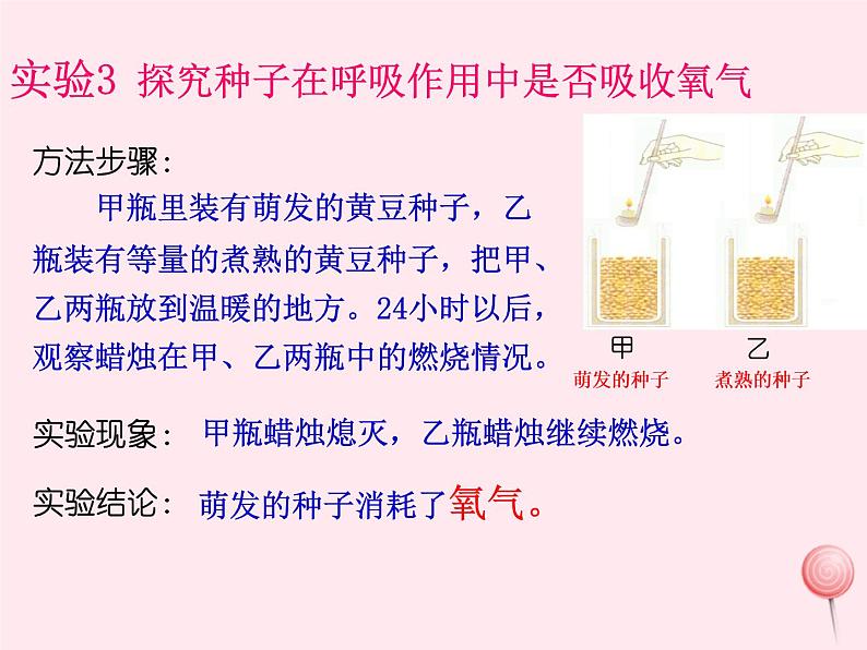 七年级生物上册第三单元第五章第二节绿色植物的呼吸作用课件06