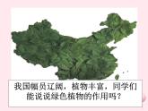 七年级生物上册第三单元第六章《爱护植被绿化祖国》课件