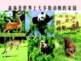 七年级生物上册第三单元第六章《爱护植被绿化祖国》课件