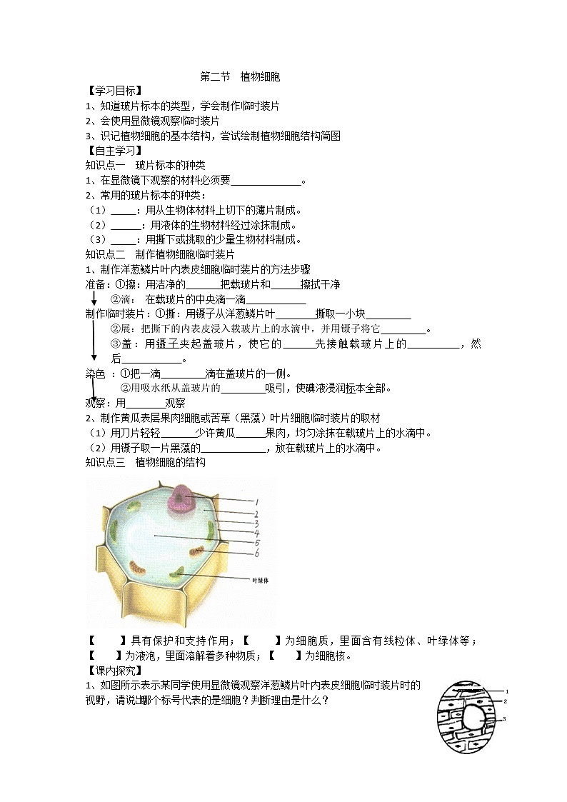 2.1.2 植物细胞 导学案（含部分答案）01