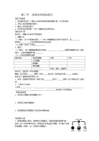 初中生物人教版 (新课标)七年级上册第二节 动物体的结构层次学案设计