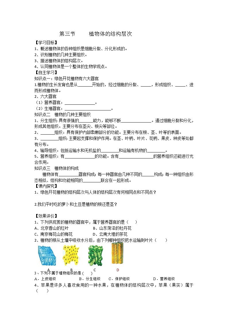 2.2.3 植物体的结构层次 导学案第1页