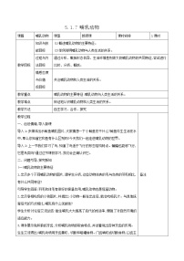 人教版 (新课标)八年级上册第五单元 生物圈中的其他生物第一章   动物的主要类群第七节   哺乳动物表格教案