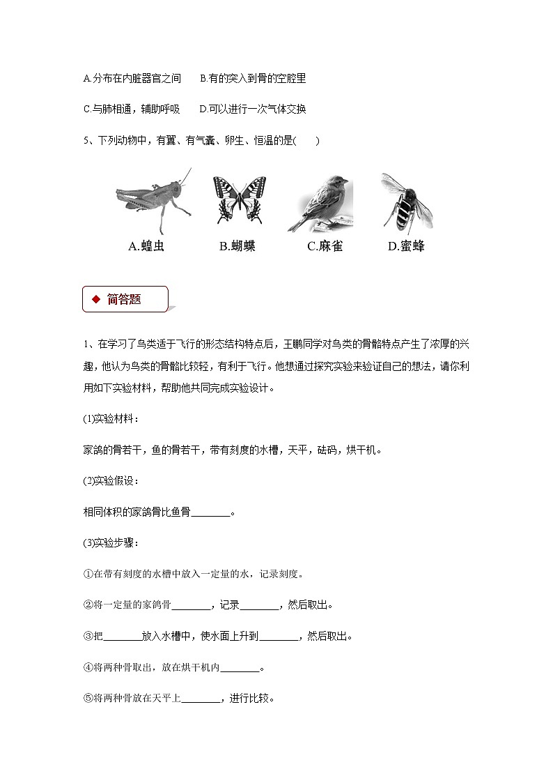 5.1.6《鸟》（基础+培优+提升）练习02