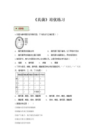 初中生物人教版 (新课标)八年级上册第三节 真菌课后作业题