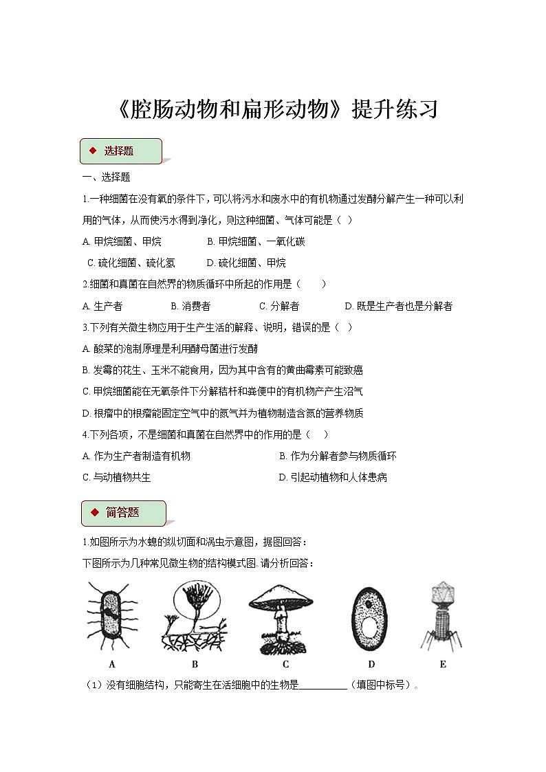 【提升练习】《细菌和真菌在自然界中的作用》（生物人教八年级上册）第1页