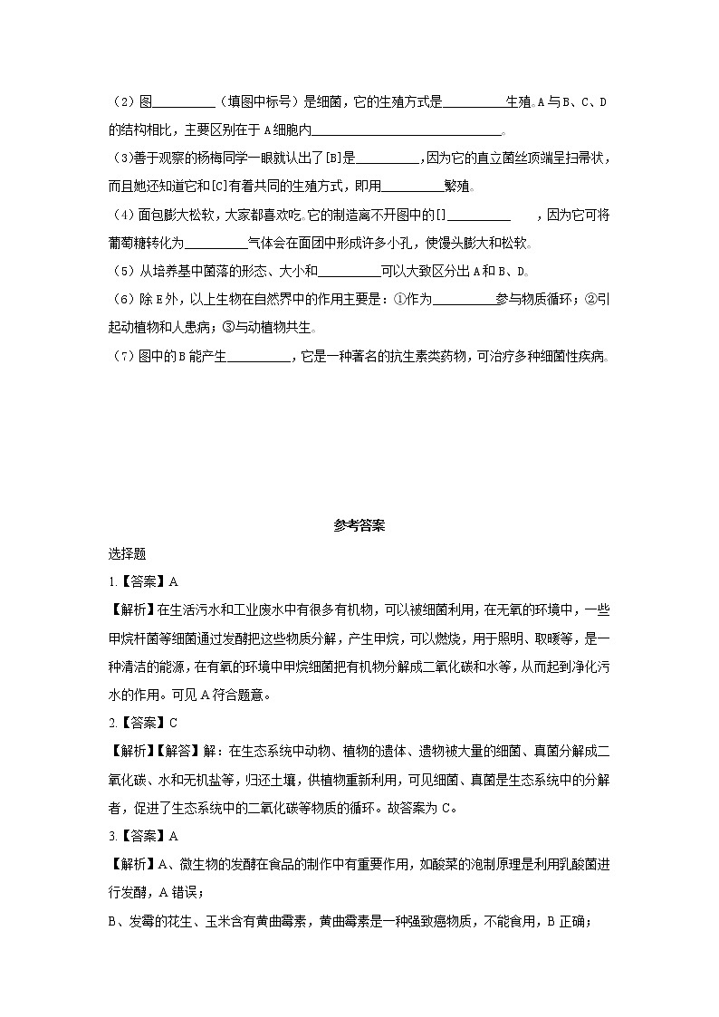 【提升练习】《细菌和真菌在自然界中的作用》（生物人教八年级上册）第2页
