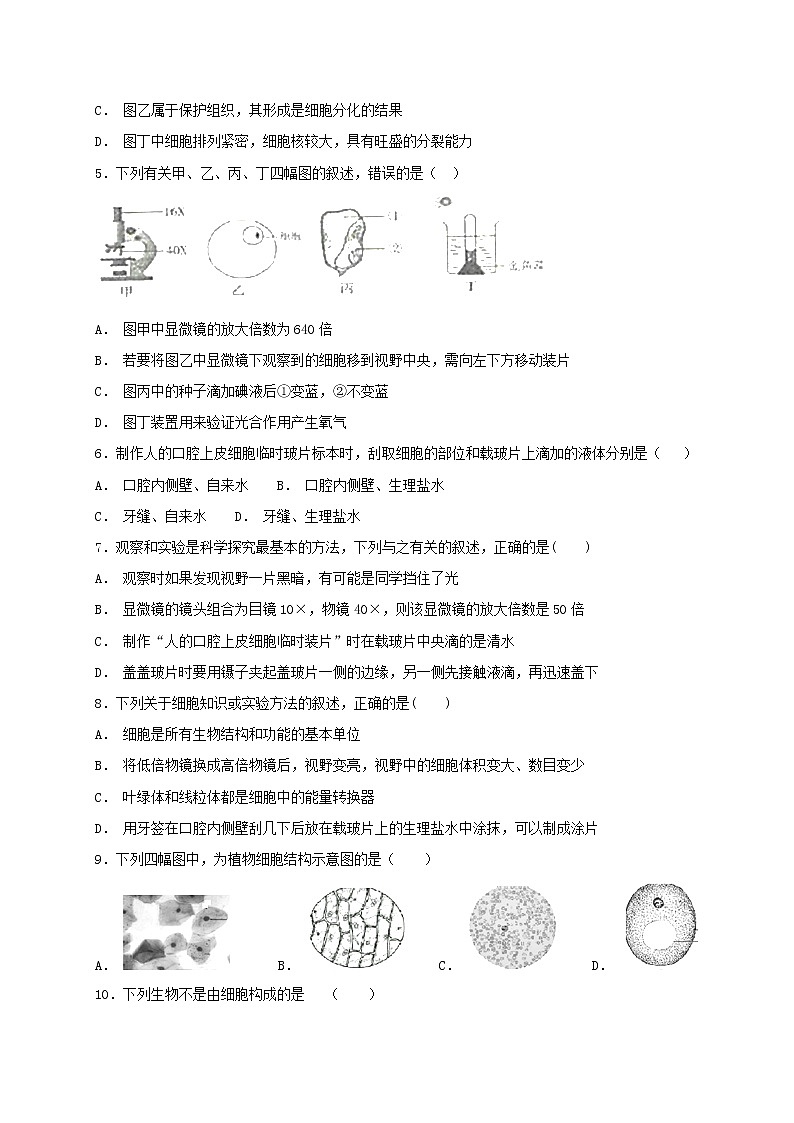 2.1.3 动物细胞 同步练习（含答案）02