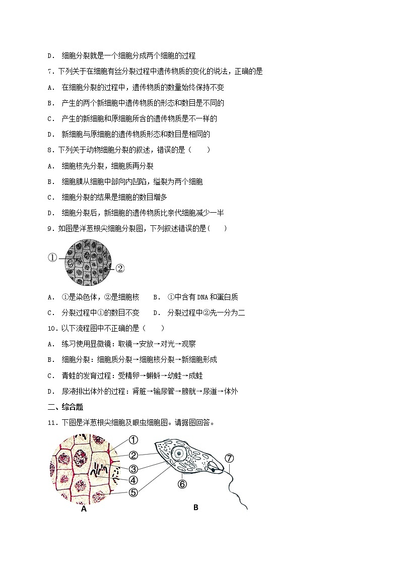 2.2.1 细胞通过分裂产生新细胞 同步练习（含答案）02