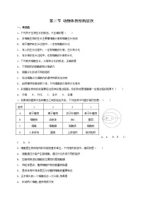 初中生物人教版 (新课标)七年级上册第二节 动物体的结构层次复习练习题