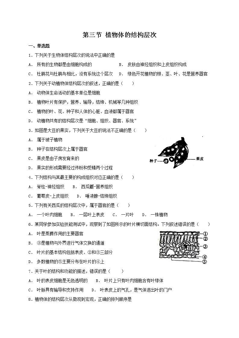 2.2.3 植物体的结构层次 同步练习第1页