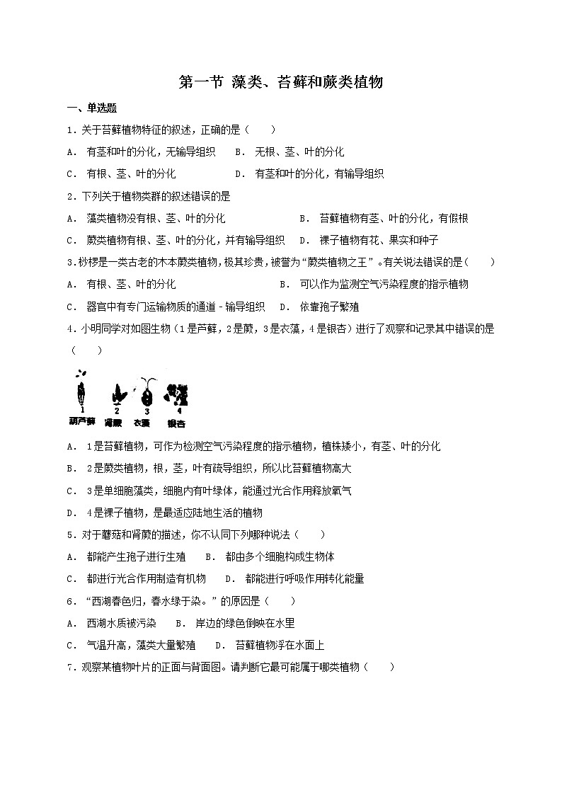 3.1.1 藻类、苔藓和蕨类植物 同步练习（含答案）01