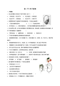 初中生物人教版 (新课标)七年级上册第二节 种子植物练习