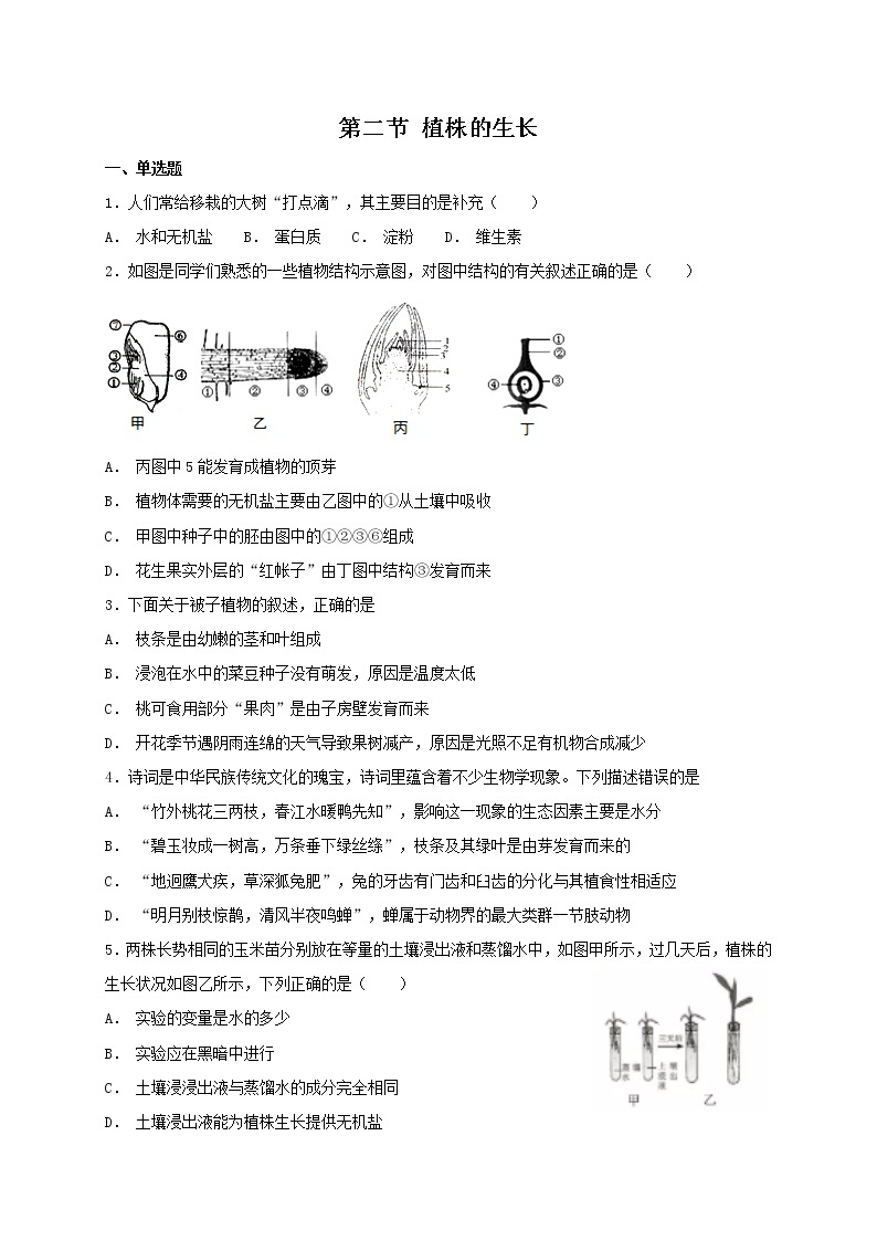 3.2.2 植株的生长 同步练习（含答案）01