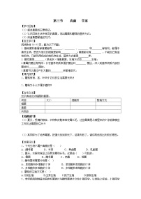 人教版 (新课标)八年级上册第三节 真菌免费学案