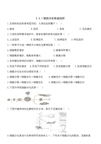 初中生物北师大版七年级上册第1节 细胞分化形成组织免费一课一练