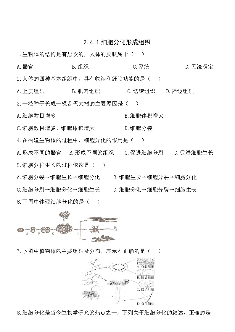 2.4.1细胞分化形成组织 同步练习01