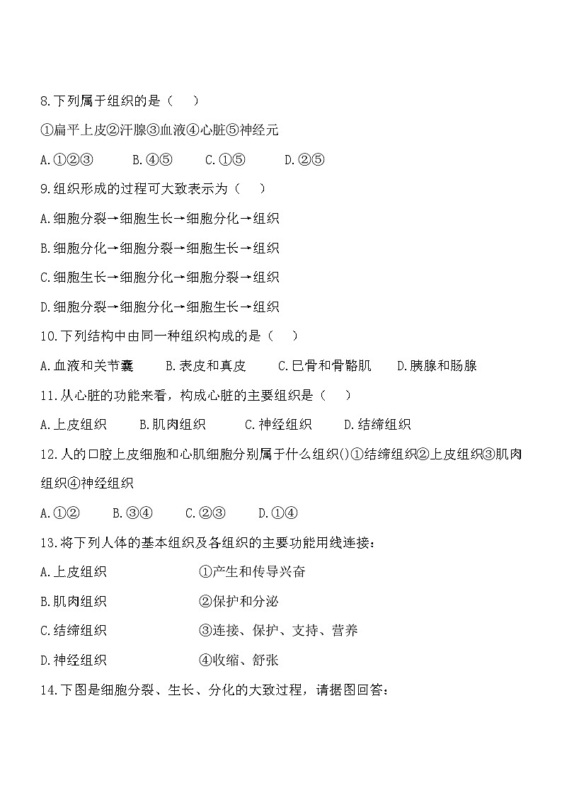 2.4.1细胞分化形成组织同步练习第2页