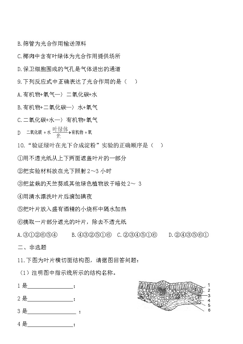 3.5.1光合作用同步练习第2页