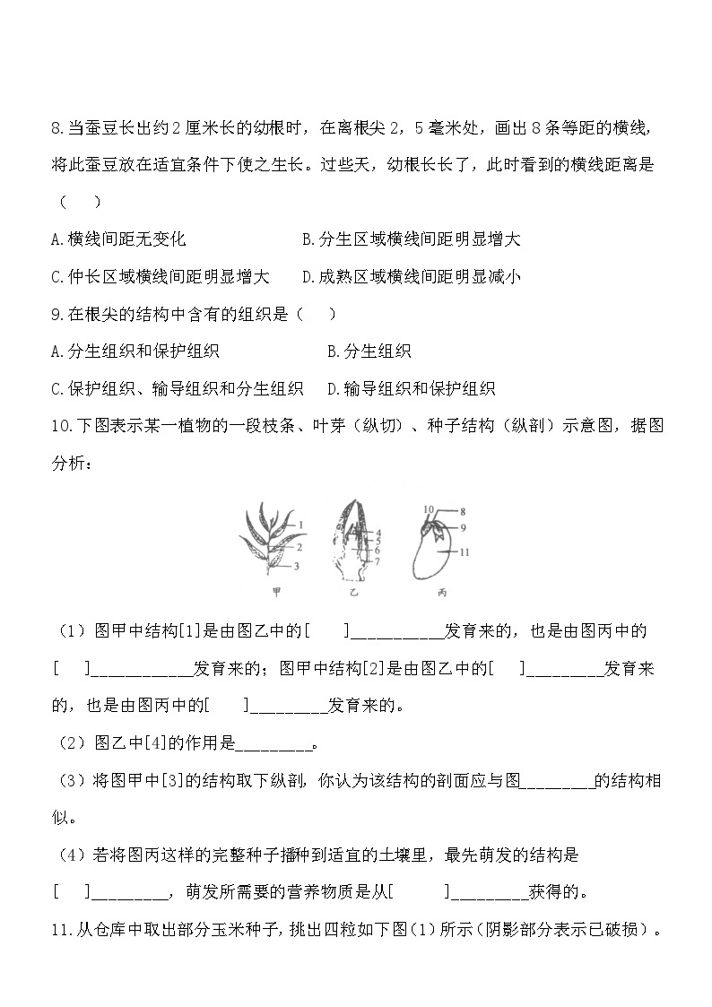 3.6.2营养器官的生长 同步练习02