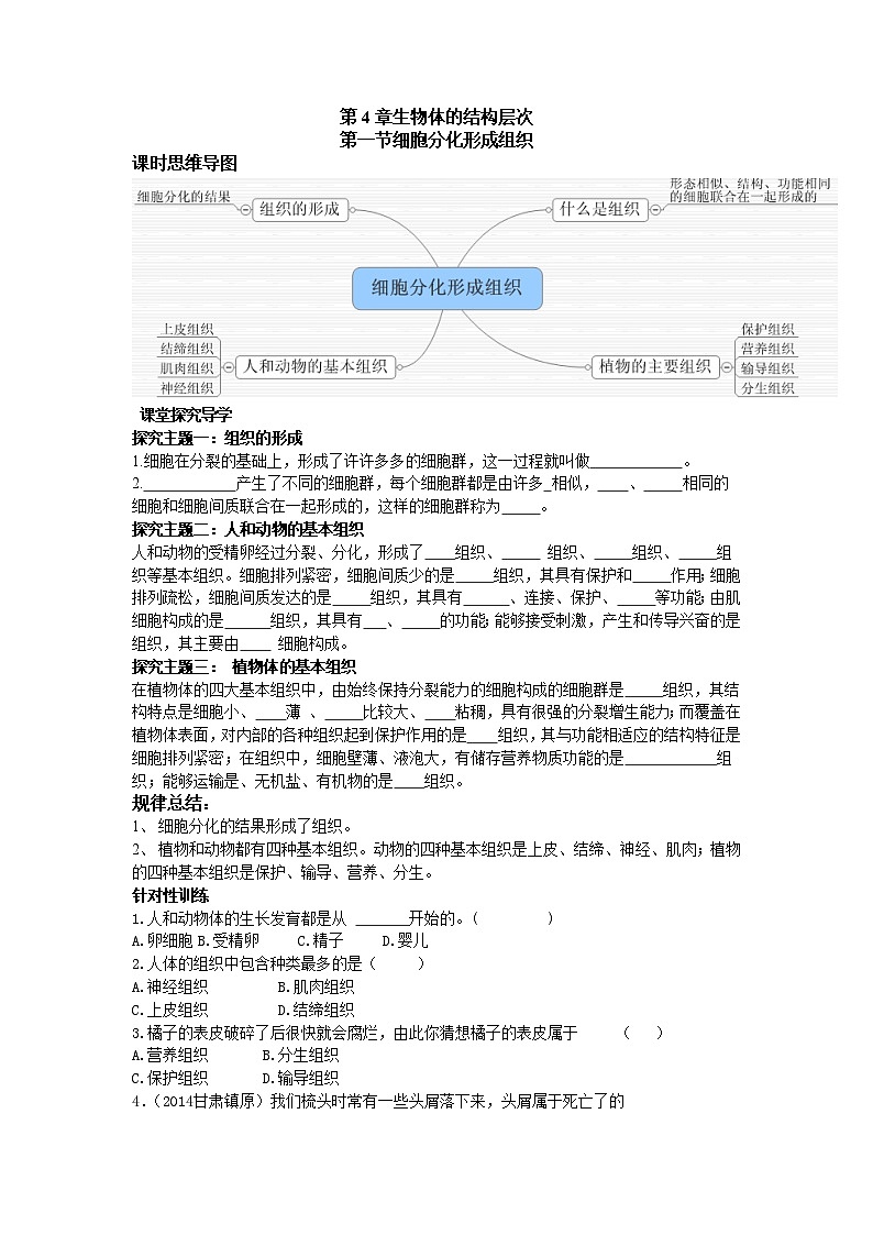 第1节 细胞分化形成组织 学案01