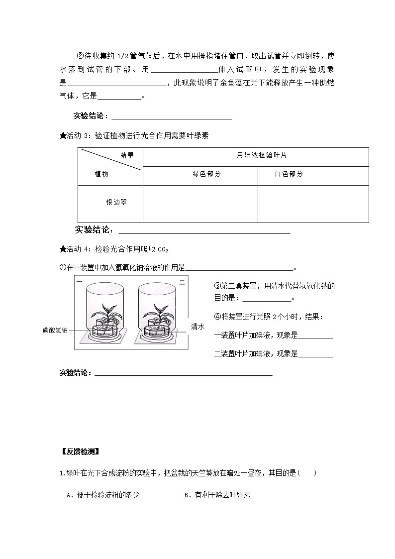 第一节 光合作用 学案03