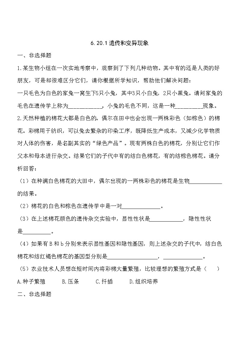 6.20.1遗传和变异现象 同步练习01