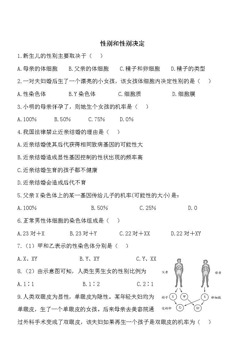 6.20.4性别和性别决定同步练习01