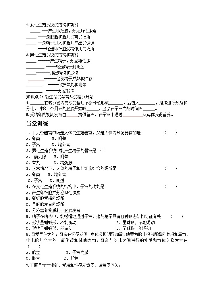 19.1 人的生殖和发育第1课时男女生殖系统 同步学案02