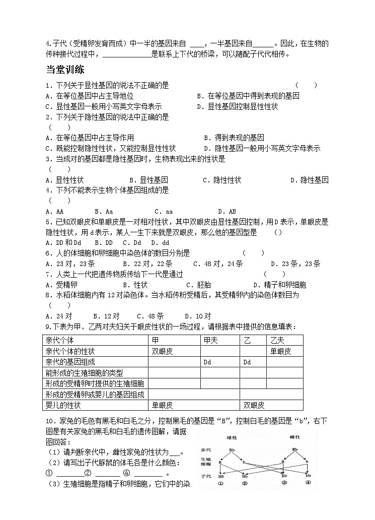 20.3 性状遗传有一定的规律性 同步学案02