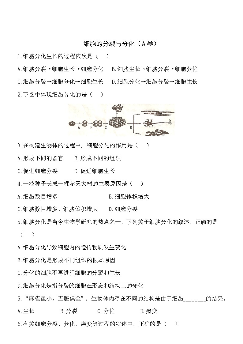 2.3.3细胞的分裂与分化同步练习01