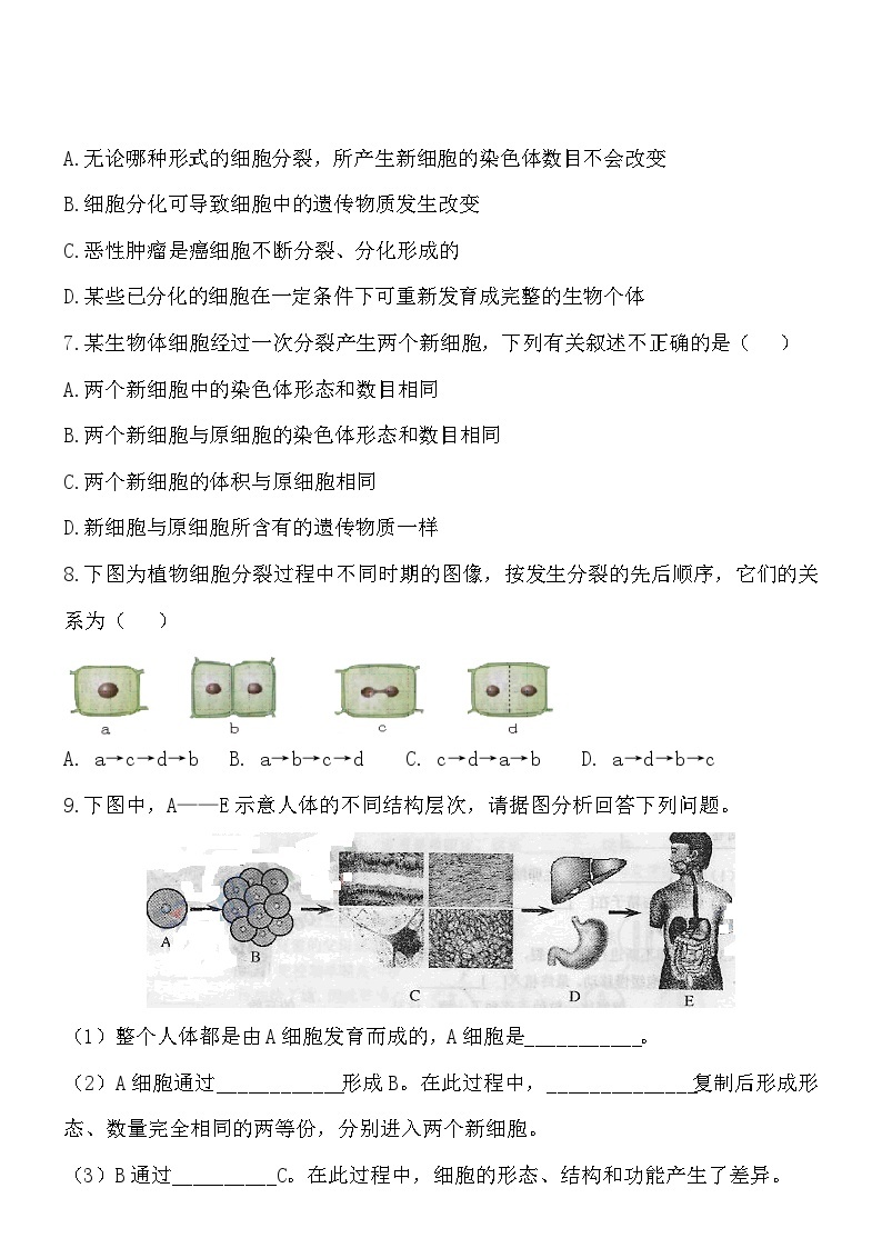 2.3.3细胞的分裂与分化同步练习02