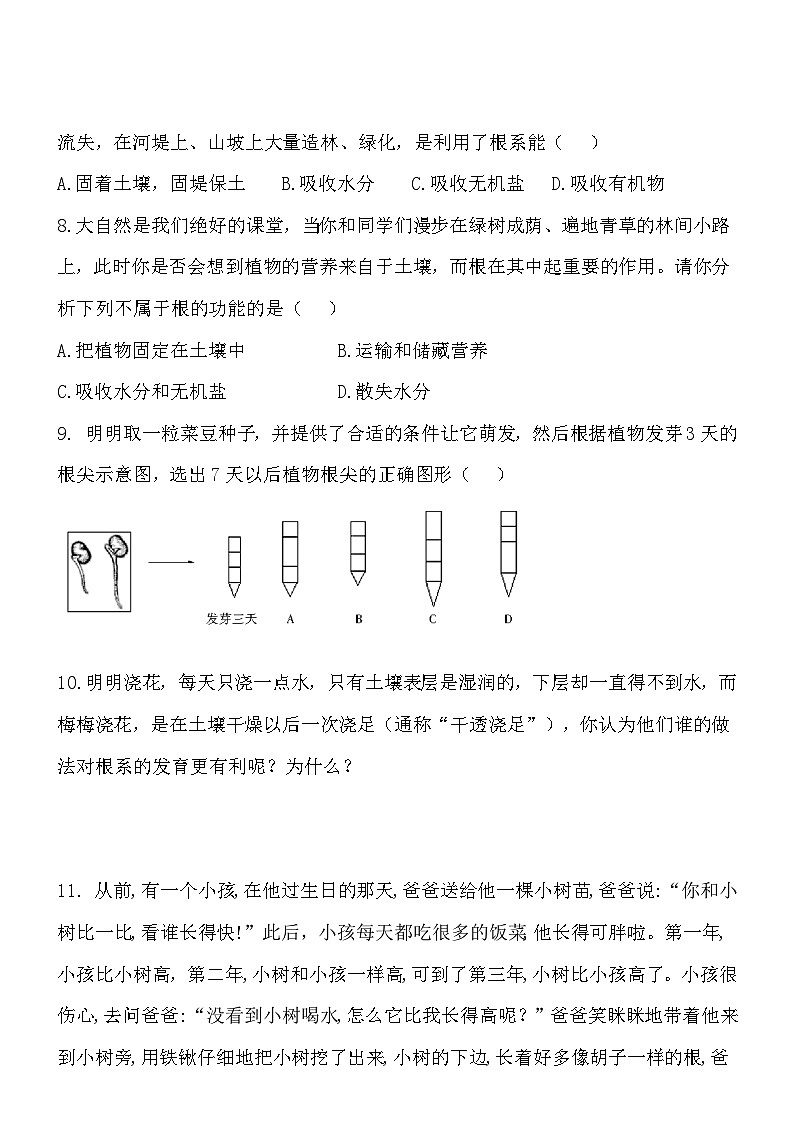 3.5.2植物根的生长 同步练习02