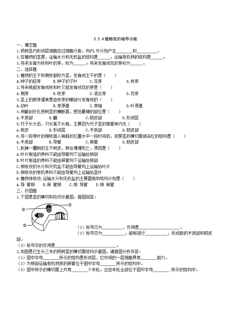 3.5.4植物茎的输导功能 同步练习01