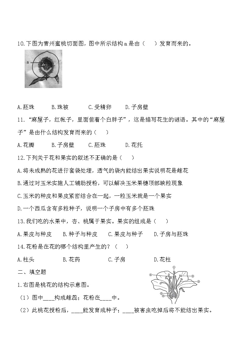 3.5.5植物的开花和结果 同步练习02