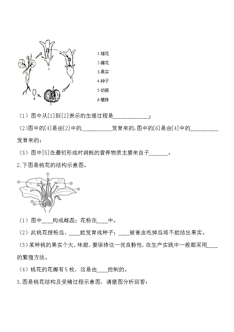 3.5.5植物的开花和结果  同步练习02