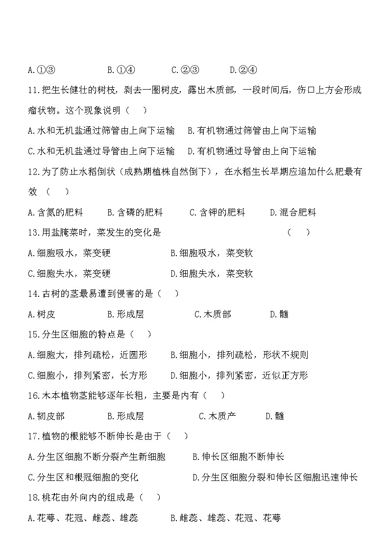 3.5绿色植物的一生 同步练习02