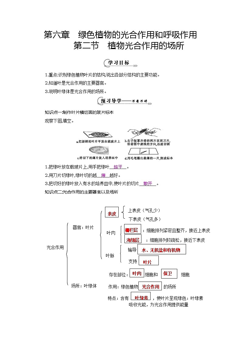 七年级生物上册第六章第二节《植物光合作用的场所》导学案01